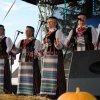 Dożynki 2013