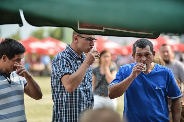 Dożynki Gminne 2015